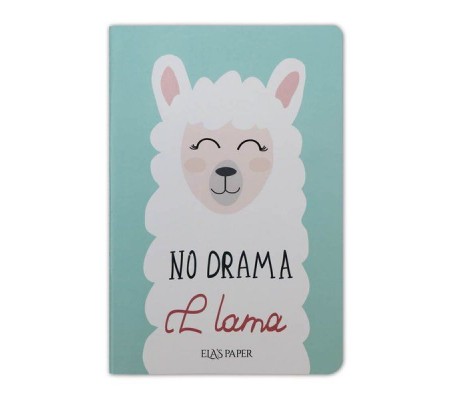 Lama Notebook Su Yeşili - Defter