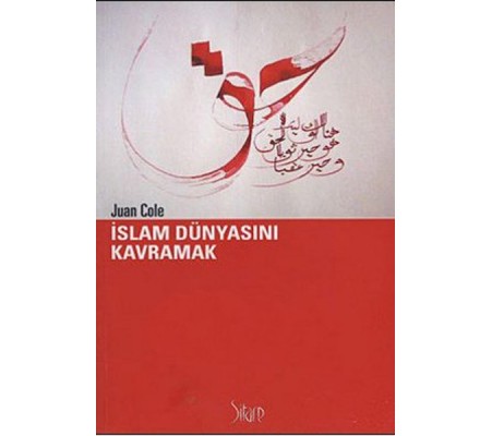 İslam Dünyasını Kavramak