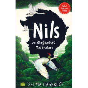 Nils ve Olağanüstü Maceraları
