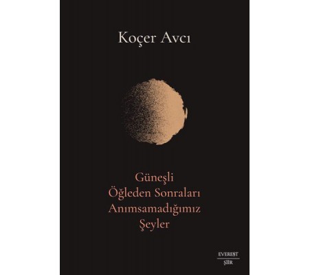 Güneşli Öğleden Sonraları Anımsamadığımız Şeyler