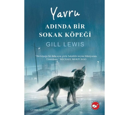 Yavru Adında Bir Sokak Köpeği