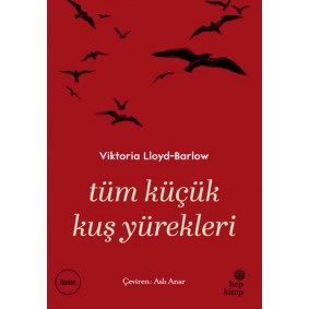 Tüm Küçük Kuş Yürekleri Tüm Küçük Kuş Yürekleri
