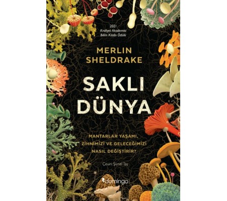 Saklı Dünya