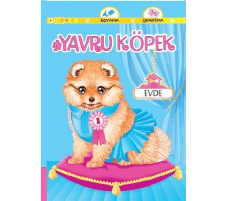 Yavru Köpek Evde