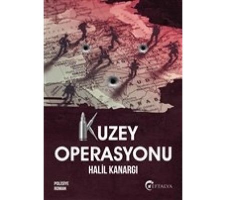 Kuzey Operasyonu