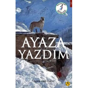 Ayaza Yazdım Ayaza Yazdım