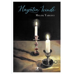 Hayatın İçinde Hayatın İçinde