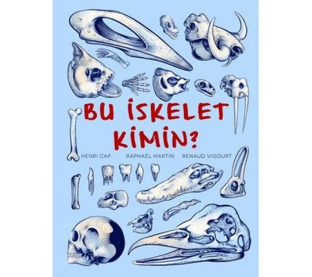 Bu İskelet Kimin?