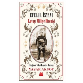 Efeler İsyanı - Kuvayı Milliye Direnişi