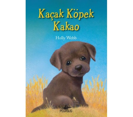 Kaçak Köpek Kakao