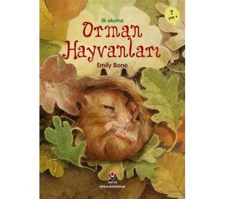 İlk Okuma - Orman Hayvanları İlk Okuma - Orman Hayvanları