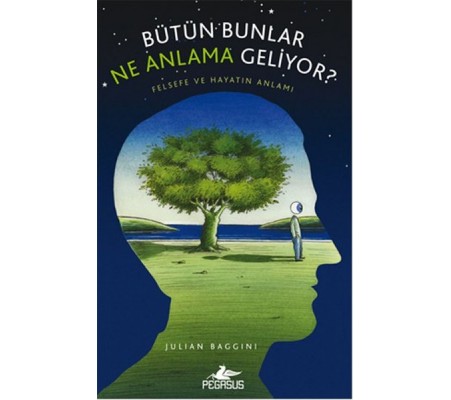 Bütün Bunlar Ne Anlama Geliyor?