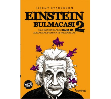 Einstein Bulmacası 2  Aklınızın Sınırlarını Zorlayacak Bulmaca ve Paradokslar