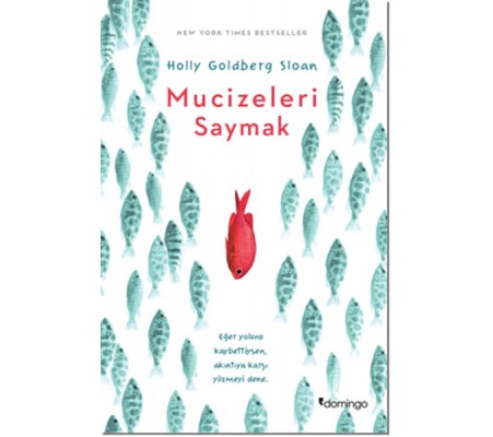 Mucizeleri Saymak