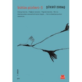 Bütün Şiirleri 3