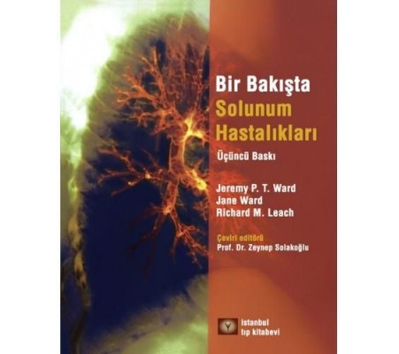 Bir Bakışta Solunum Sistemi