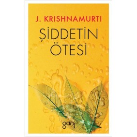 Şiddetin Ötesi Şiddetin Ötesi
