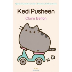 Kedi Pusheen Kedi Pusheen