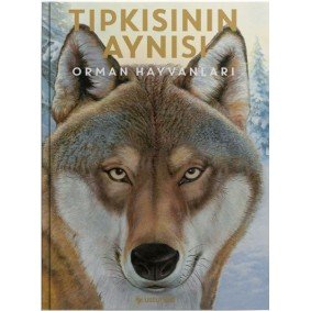 Tıpkısının Aynısı Tıpkısının Aynısı