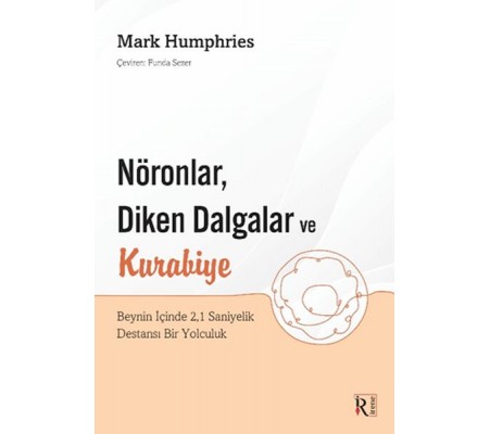 Nöronlar, Diken Dalgalar ve Kurabiye