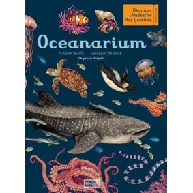Oceanarium Oceanarium