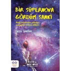 Bir Süpernova Gördüm Sanki