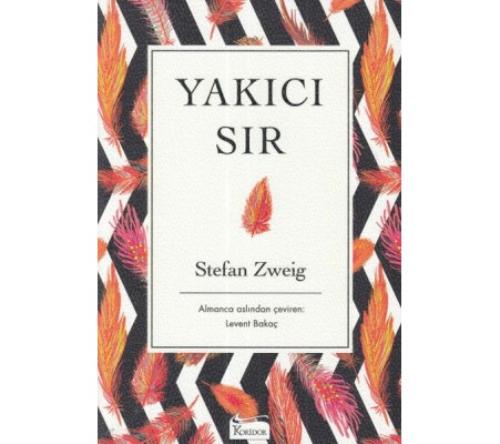 Yakıcı Sır - Ciltsiz