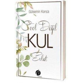 Cool Değil Kul Evlat Cool Değil Kul Evlat