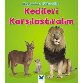 Hayvanlarla Etkinlikler - Kedileri Karşılaştıralım
