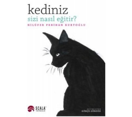 Kediniz Sizi Nasıl Eğitir