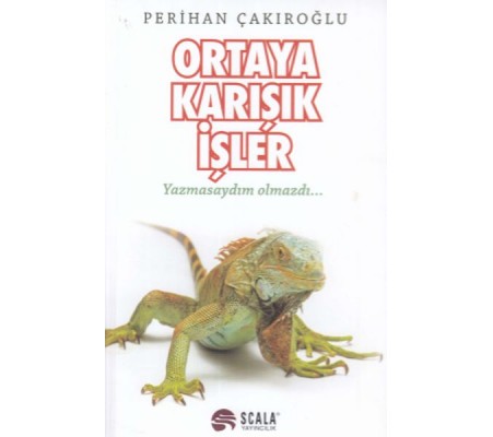 Ortaya Karışık İşler