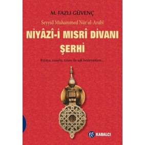 Niyazi-i Mısri Divanı Şerhi