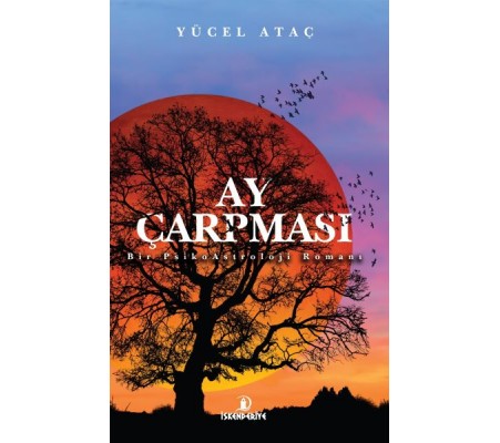 Ay Çarpması - Bir PsikoAstroloji Romanı