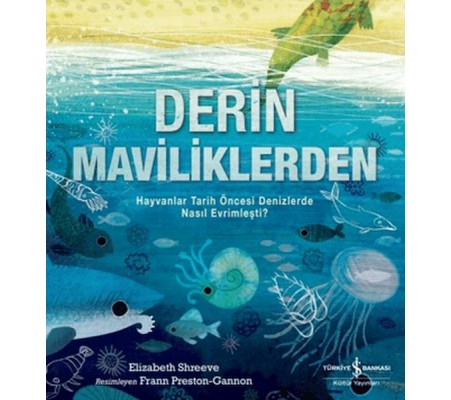 Derin Maviliklerden