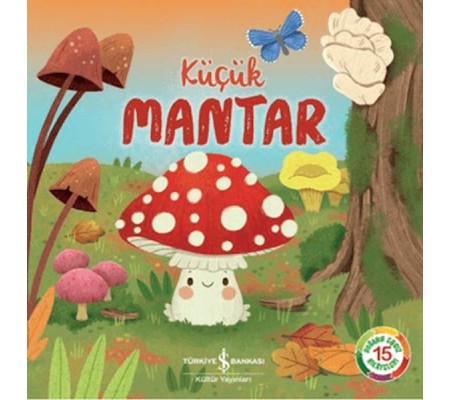 Küçük Mantar Küçük Mantar