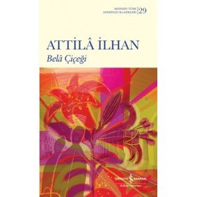 Bela Çiçeği Bela Çiçeği