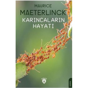 Karıncaların Hayatı Karıncaların Hayatı