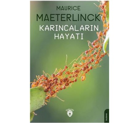 Karıncaların Hayatı