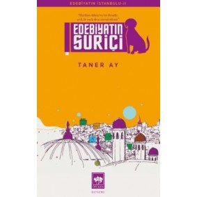 Edebiyatın Suriçi Edebiyatın Suriçi