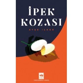 İpek Kozası
