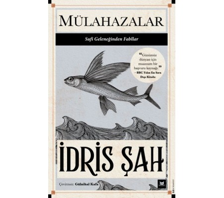 Mülahazalar