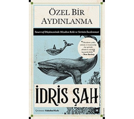 Özel Bir Aydınlanma