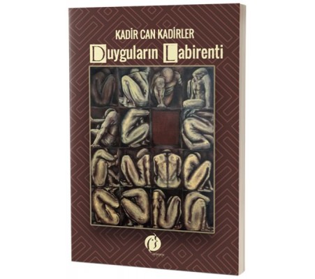 Duyguların Labirenti