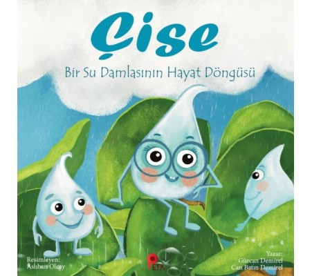 Çise: Bir Su Damlasının Hayat Döngüsü