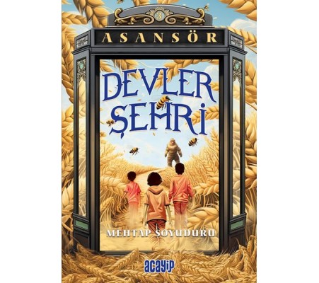 Asansör- 3 Devler Şehri