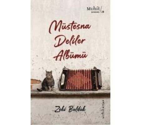 Müstesna Deliler Albümü