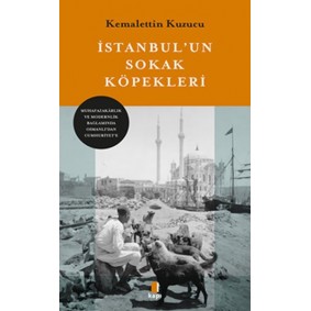 İstanbul’un Sokak Köpekleri İstanbul’un Sokak Köpekleri