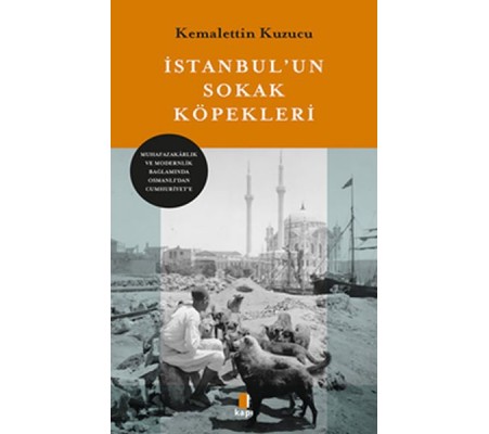 İstanbul’un Sokak Köpekleri