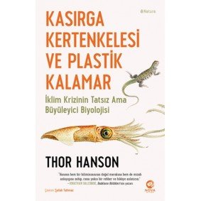 Kasırga Kertenkelesi ve Plastik Kalamar