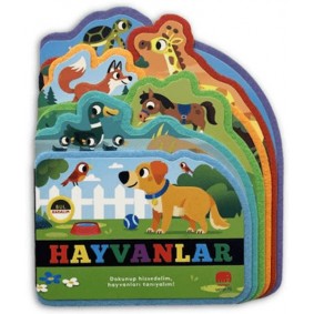 Bul Bakalım Hayvanlar Bul Bakalım Hayvanlar